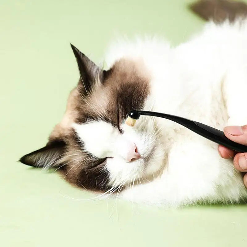 Brosse Anti-Taches de Larmes pour Animaux