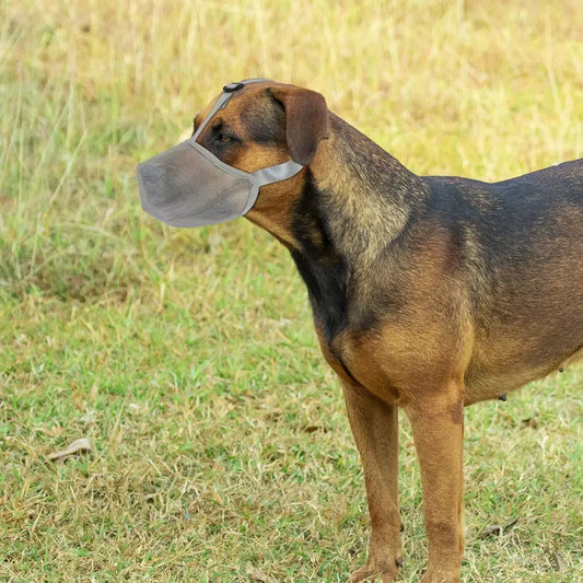 Muselière Respirable pour Chiens