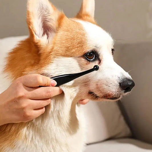 Brosse Anti-Taches de Larmes pour Animaux